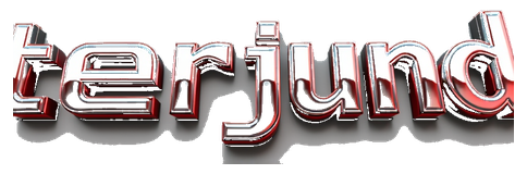 terjun4d logo